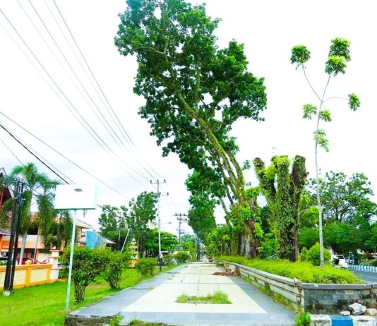 Kawasan S. Parman Disulap Jadi “Belungguk Point”, Wali Kota Bengkulu Gelontorkan Rp10,8 Miliar