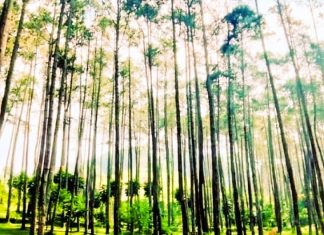 Keindahan Batu Kuda: Permata Tersembunyi di Kaki Gunung Manglayang