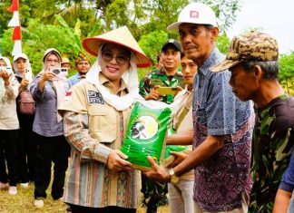 Destita Khairilisani Hadiri Panen Raya, Tegaskan Komitmen Dukung Ketahanan Pangan Kota Bengkulu