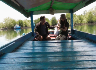 Hutan Mangrove Bengkulu: Destinasi Edukasi dan Relaksasi di Tengah Alam