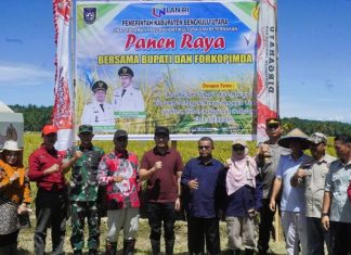 Panen Raya di Bengkulu Utara, Bupati Arie Ajak Petani Wujudkan Swasembada Pangan
