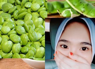 Petai, Si Bau yang Berkhasiat: Cegah Hipertensi, Diabetes, hingga Anemia