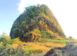 Menikmati Pesona Bukit Kandis: Destinasi Favorit Pecinta Alam dan Fotografi