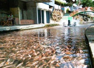 Watergong, Surga Wisata Air di Klaten yang Viral karena Keindahan Sungainya