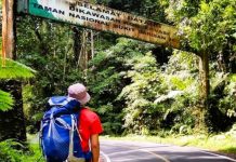 TNBBS: Benteng Kehidupan Satwa Langka dan Warisan Dunia dari Sumatera