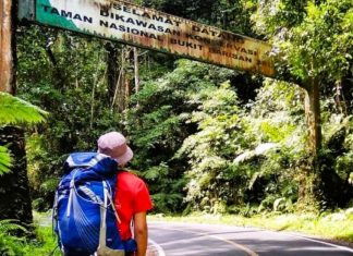 TNBBS: Benteng Kehidupan Satwa Langka dan Warisan Dunia dari Sumatera