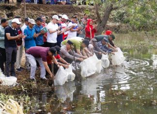 Pemkab Seluma Lepas 18.000 Bibit Ikan Nila Sambut HUT ke-22