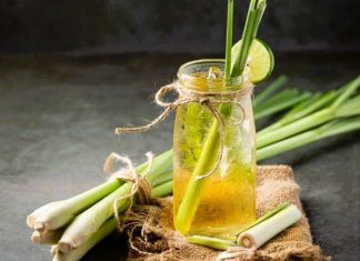 Serai: Ramuan Alami Penambah Imunitas dan Penangkal Penyakit