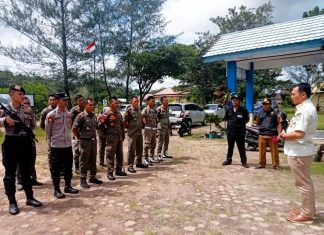 Satpol PP Kaur Gelar Operasi Tembak Bius Ternak Liar, Sasar Wilayah Padat Lalu Lintas