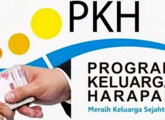 Cara Cek Status Penerima Bansos PKH dan BPNT 2025 Secara Online dan Offline dengan Mudah