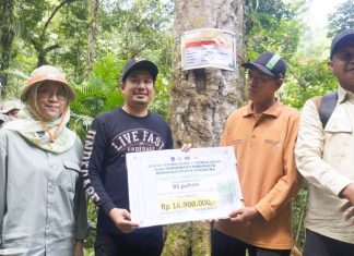 Sinergi Lestarikan Hutan, Bupati BU dan KLHK Tanam Pohon di Desa Lemo Nakai