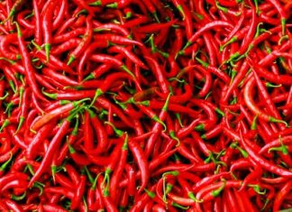 Kota Bengkulu Alami Deflasi 0,24% pada Mei 2025, Cabai Merah Jadi Penyumbang Utama