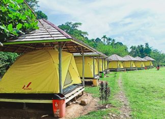 Pesona Desa Wisata Rindu Hati, Tawarkan Sensasi Petualangan dan Ketentraman Alam hingga Camping Seru