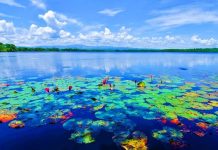 Milenial Diimbau Jadi Influencer Wisata Kota Bengkulu: “Upload, Tag, Ajak Liburan!”