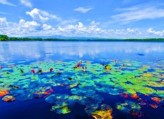 Milenial Diimbau Jadi Influencer Wisata Kota Bengkulu: “Upload, Tag, Ajak Liburan!”