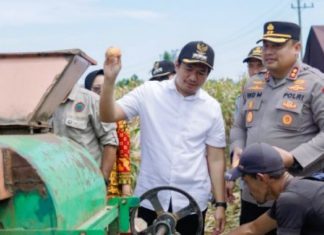 Bupati Bengkulu Utara Hadiri Panen Raya Jagung Serentak Dukung Swasembada Pangan Nasional