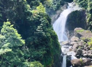 Wisata Air Terjun Paliak, Destinasi Alam untuk Petualang Sejati di Tengah Rimba