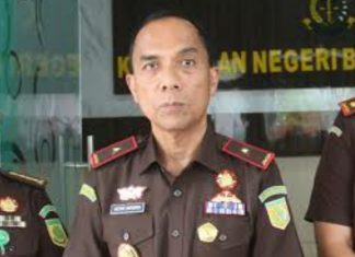 Kejati Bengkulu Telusuri Kerugian Negara Akibat Tambang Merambah Hutan Lindung