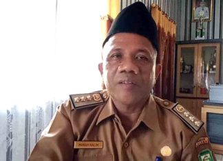 Dugaan Honorer Siluman Meningkat, Seleksi PPPK Seluma Didorong Audit Total