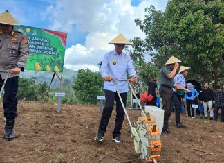 Wabup Lebong Hadiri Penanaman Jagung Serentak di Lahan Perhutanan Sosial