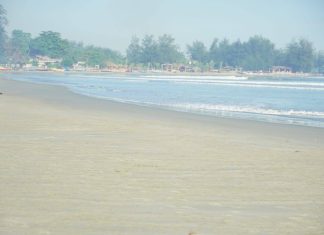 Sepuluh Ribu Pohon Kelapa Siap Percantik Pantai Panjang