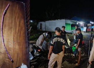 Remaja Bikin Geger Warga Bengkulu Tengah, Sajam Ternyata Cuma Gagang Sapu