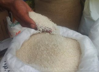 Beras dan Rokok Jadi Penyumbang Terbesar Kemiskinan di Bengkulu