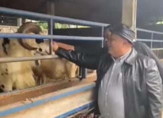 Dorong Investasi Pertanian, Bupati Rifai Temui Pengusaha Asal Seginim di Kediri