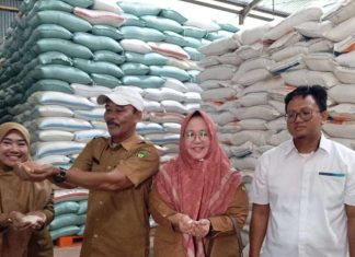 DKP Bengkulu Selatan Pastikan Bantuan Beras Pangan Aman untuk Disalurkan