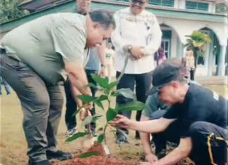 Pemkab Bengkulu Selatan Tanam Pohon, Bupati Dorong OPD Wujudkan Lingkungan Kerja Hijau