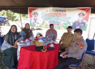 Pemkot Bengkulu Gandeng Petani dan Polri, Tanam Jagung untuk Program Satu Desa Satu Hektar