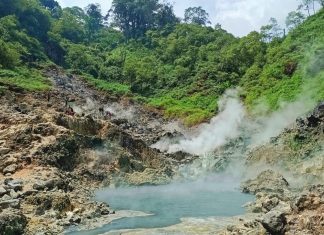 Pesona Bukit Hitam, Surga Pendakian di Ketinggian 1.933 Mdpl Bengkulu