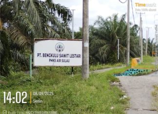 Manajer PT Bengkulu Sawit Lestari Enggan Dikonfirmasi Soal Dugaan Pencemaran Limbah Sawit
