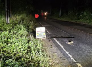 Lubang Perbaikan Jalan Nasional Disorot Usai Kecelakaan Maut di Sukaraja Seluma