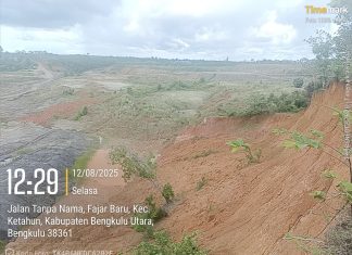 Eks Tambang Batu Bara Bengkulu Utara Terbengkalai, Lubang Galian Tak Kunjung Direklamasi