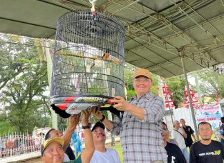 Ratusan Peserta Meriahkan Lomba Burung Berkicau Piala Merah Putih Gubernur Cup Bengkulu 2025
