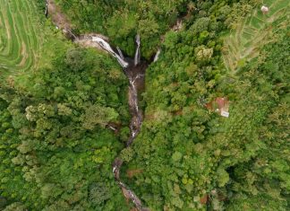 Legislator Nilai Gerakan Patungan Beli Hutan sebagai Kritik Atas Kerusakan Lingkungan