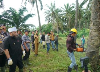 Bengkulu Mantapkan Langkah Jadi Wilayah Konservasi, Gubernur Pimpin Penanaman 49.280 Bibit Pohon