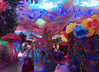 Pipilaka Calling Hadirkan Pameran Imersif Bertema Kepedulian Lingkungan di Sarinah