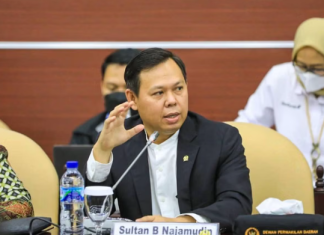 Ketua DPD RI Sultan Najamudin Serukan Penegakan Hukum Tegas untuk Pelaku Perusakan Lingkungan