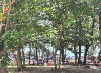 Pemkot Bengkulu Anggarkan Rp1 Miliar Bangun 100 Gazebo di Kawasan Pantai