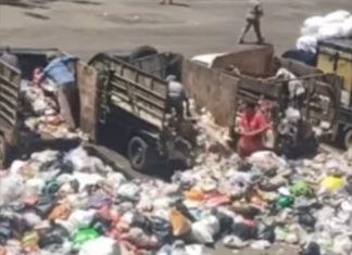 Puluhan Supir Angkutan Sampah Bongkar Muatan di Kantor Wali Kota dan DPRD Bengkulu
