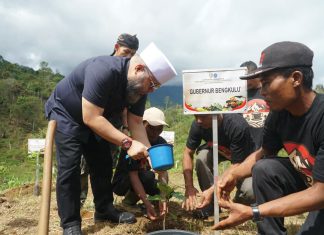 Pemprov Bengkulu Luncurkan Program Kopi Merah Putih untuk Perkuat Ekonomi Petani