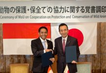 Program Breeding Loan, Komodo Dipinjamkan Indonesia ke Jepang