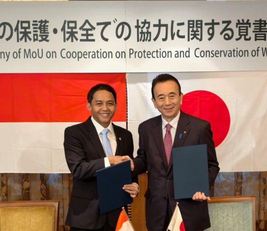 Program Breeding Loan, Komodo Dipinjamkan Indonesia ke Jepang