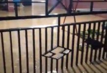 Banjir Rendam Lima Kecamatan di Seluma, 835 KK Terdampak Akibat Hujan Lebat